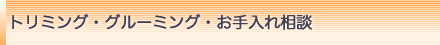 トリミング・グルーミング・お手入れ相談