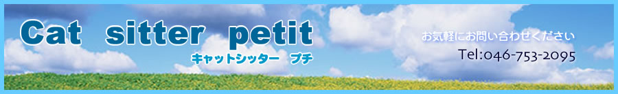 sora�i����j �y�b�g�A�V�X�g�N���u���l�t